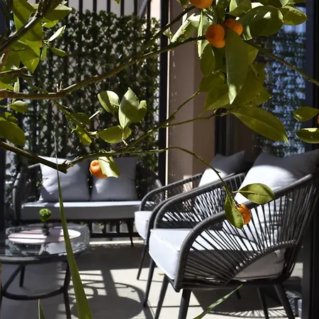 Lemon Tree Daire